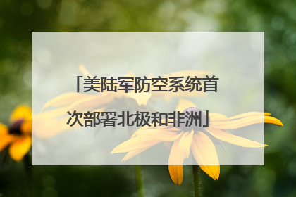 美陆军防空系统首次部署北极和非洲