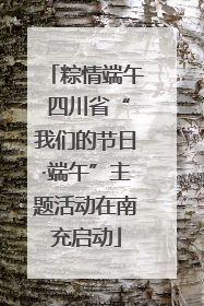 粽情端午 四川省“我们的节日·端午”主题活动在南充启动