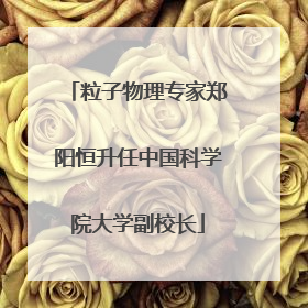 粒子物理专家郑阳恒升任中国科学院大学副校长