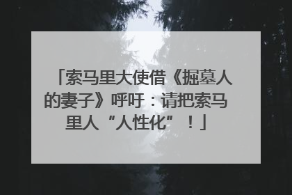 索马里大使借《掘墓人的妻子》呼吁：请把索马里人“人性化”！