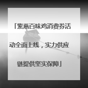 紫燕百味鸡消费券活动全面上线，实力供应链提供坚实保障