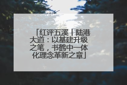 红评五溪丨陆港大道：以基建升级之笔，书鹤中一体化理念革新之章