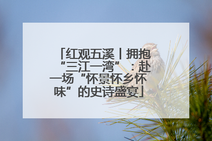 红观五溪丨拥抱“三江一湾”：赴一场“怀景怀乡怀味”的史诗盛宴