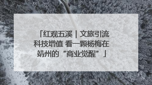 红观五溪｜文旅引流 科技增值 看一颗杨梅在靖州的“商业觉醒”