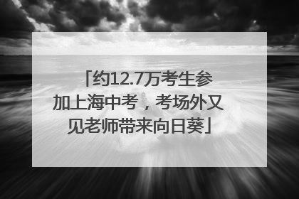 约12.7万考生参加上海中考，考场外又见老师带来向日葵