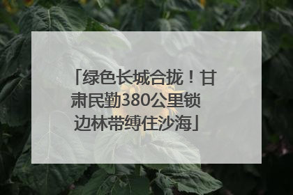 绿色长城合拢！甘肃民勤380公里锁边林带缚住沙海