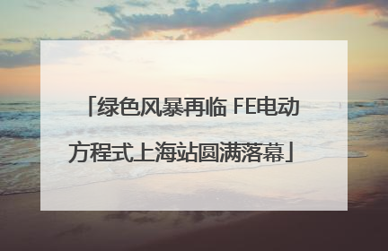 绿色风暴再临 FE电动方程式上海站圆满落幕