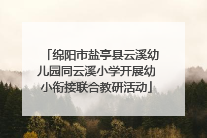 绵阳市盐亭县云溪幼儿园同云溪小学开展幼小衔接联合教研活动