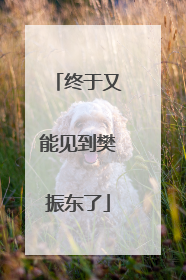 终于又能见到樊振东了