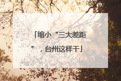 缩小“三大差距”，台州这样干