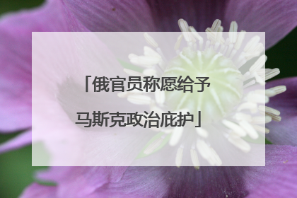 俄官员称愿给予马斯克政治庇护