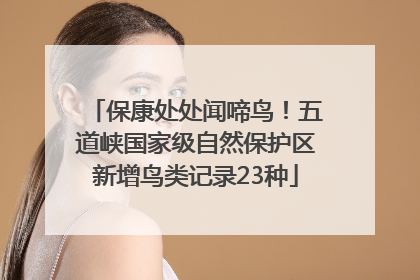 保康处处闻啼鸟！五道峡国家级自然保护区新增鸟类记录23种