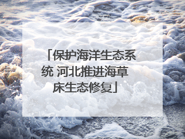 保护海洋生态系统 河北推进海草床生态修复