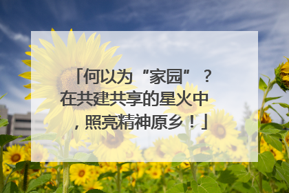 何以为“家园”？在共建共享的星火中，照亮精神原乡！