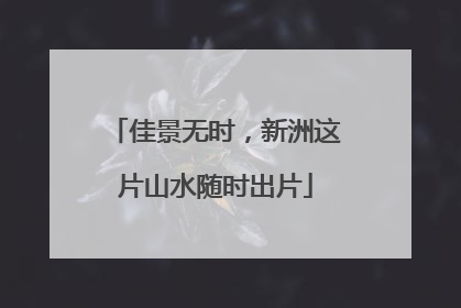 佳景无时，新洲这片山水随时出片
