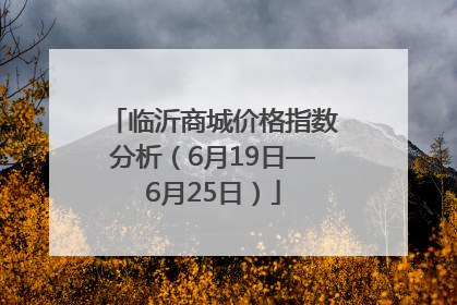临沂商城价格指数分析（6月19日—6月25日）