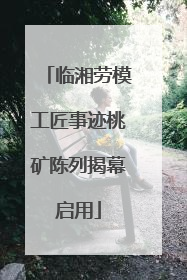 临湘劳模工匠事迹桃矿陈列揭幕启用