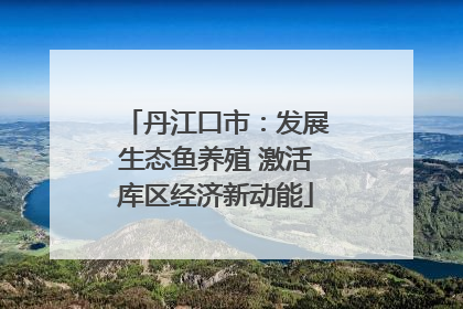 丹江口市：发展生态鱼养殖 激活库区经济新动能