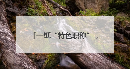 一纸“特色职称”，激活碳纤维产业创新链——创新人才评价机制 助推产业升级