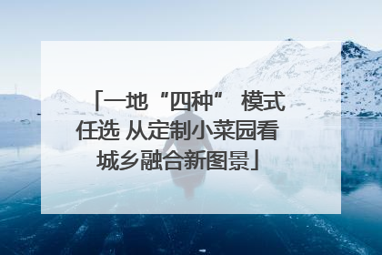 一地“四种” 模式任选 从定制小菜园看城乡融合新图景