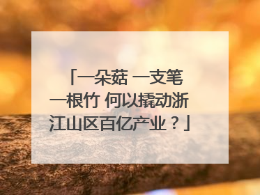 一朵菇 一支笔 一根竹 何以撬动浙江山区百亿产业？