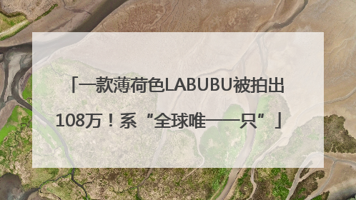 一款薄荷色LABUBU被拍出108万！系“全球唯一一只”