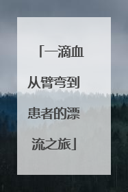 一滴血从臂弯到患者的漂流之旅