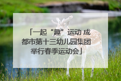 一起“趣”运动 成都市第十三幼儿园集团举行春季运动会