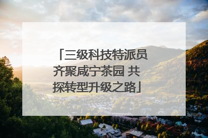 三级科技特派员齐聚咸宁茶园 共探转型升级之路