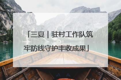 三夏｜驻村工作队筑牢防线守护丰收成果