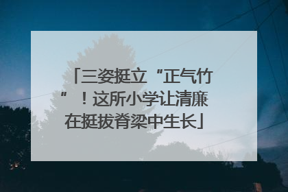 三姿挺立“正气竹”！这所小学让清廉在挺拔脊梁中生长