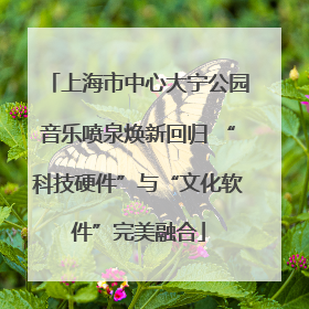 上海市中心大宁公园音乐喷泉焕新回归 “科技硬件”与“文化软件”完美融合