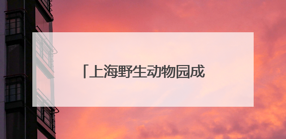 上海野生动物园成功繁育的两头非洲象宝宝与游客见面