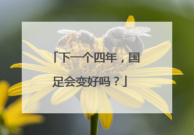 下一个四年，国足会变好吗？