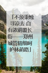 不须秉烛寻凉去 自有浓荫覆长街——郑州城管精细呵护林荫路
