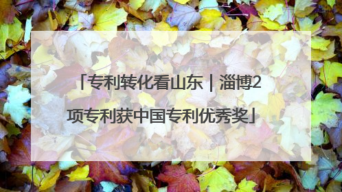 专利转化看山东｜淄博2项专利获中国专利优秀奖