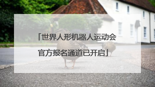 世界人形机器人运动会官方报名通道已开启