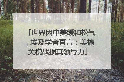 世界因中美缓和松气，埃及学者直言：美搞关税战损其领导力