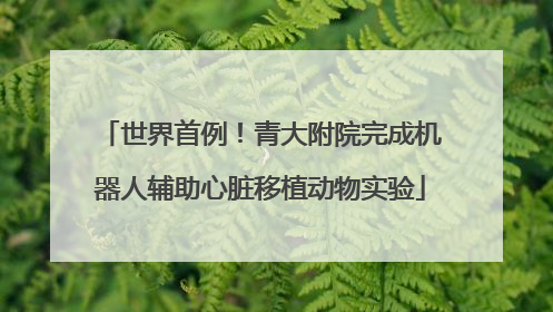 世界首例！青大附院完成机器人辅助心脏移植动物实验