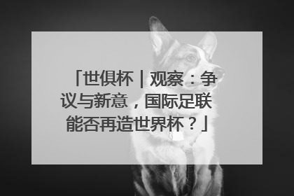 世俱杯｜观察：争议与新意，国际足联能否再造世界杯？