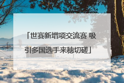 世赛新增项交流赛 吸引多国选手来穗切磋