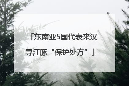 东南亚5国代表来汉寻江豚“保护处方”
