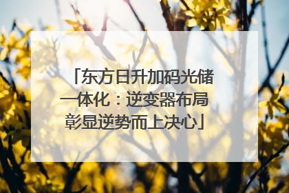 东方日升加码光储一体化：逆变器布局彰显逆势而上决心