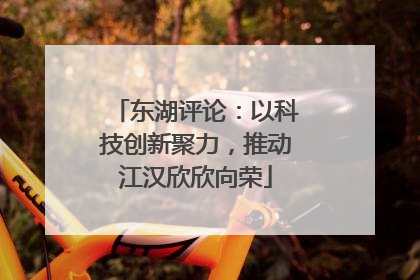 东湖评论：以科技创新聚力，推动江汉欣欣向荣