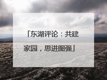 东湖评论：共建家园，思进图强