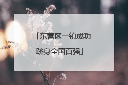 东营区一镇成功跻身全国百强