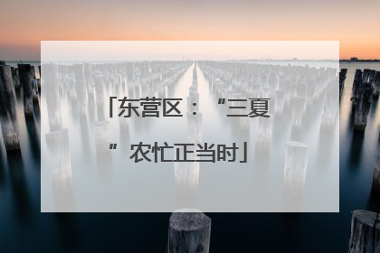 东营区：“三夏”农忙正当时
