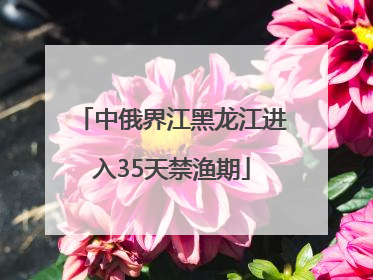 中俄界江黑龙江进入35天禁渔期