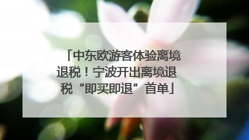 中东欧游客体验离境退税！宁波开出离境退税“即买即退”首单
