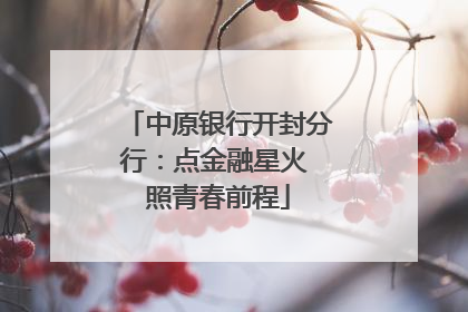 中原银行开封分行：点金融星火 照青春前程